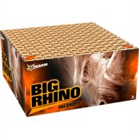 Big Rhino